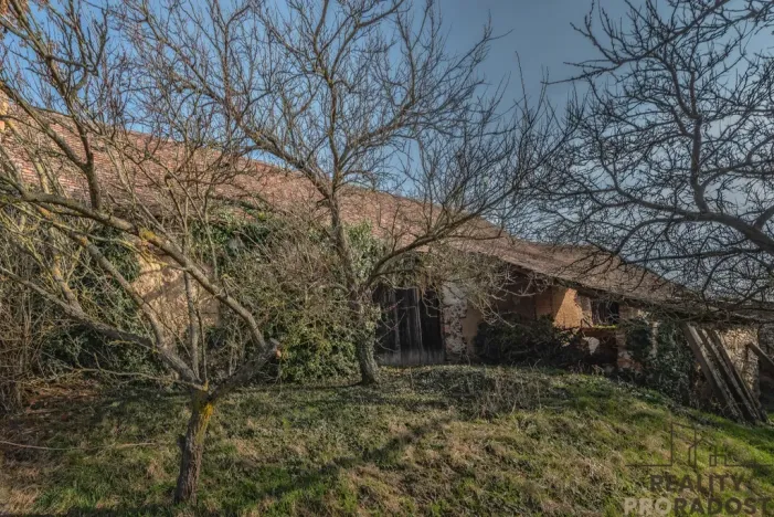 Prodej chalupy, Horní Dunajovice, 350 m2