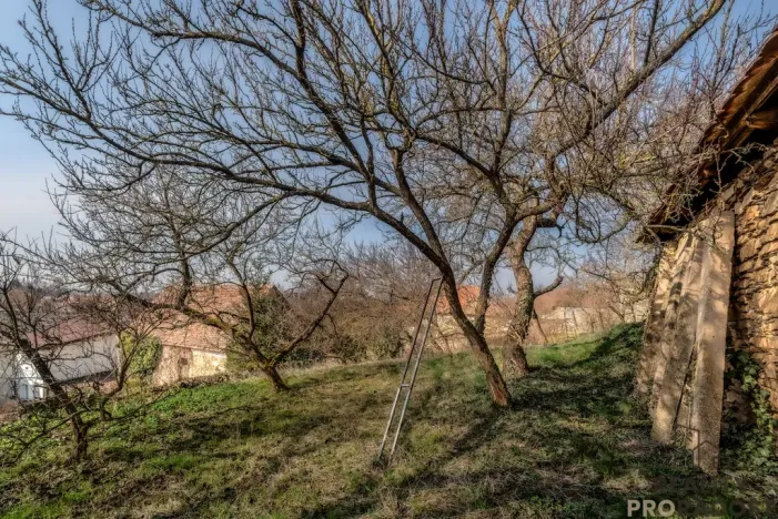 Prodej chalupy, Horní Dunajovice, 350 m2