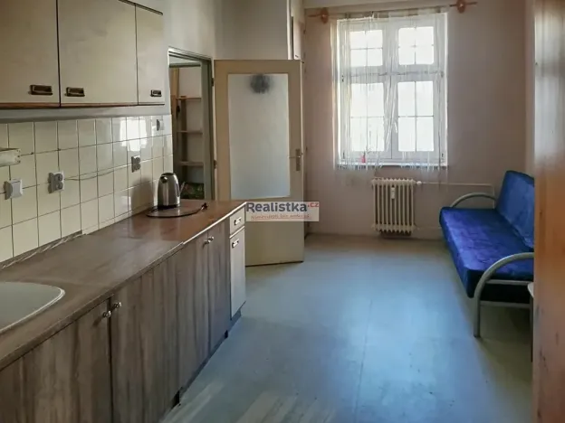 Prodej bytu 1+1, Plzeň, Guldenerova, 48 m2