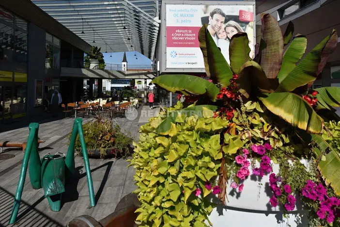 Pronájem obchodního prostoru, Strakonice, Bezděkovská, 58 m2