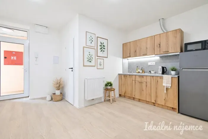 Pronájem bytu 2+kk, Brno, Bubeníčkova, 35 m2