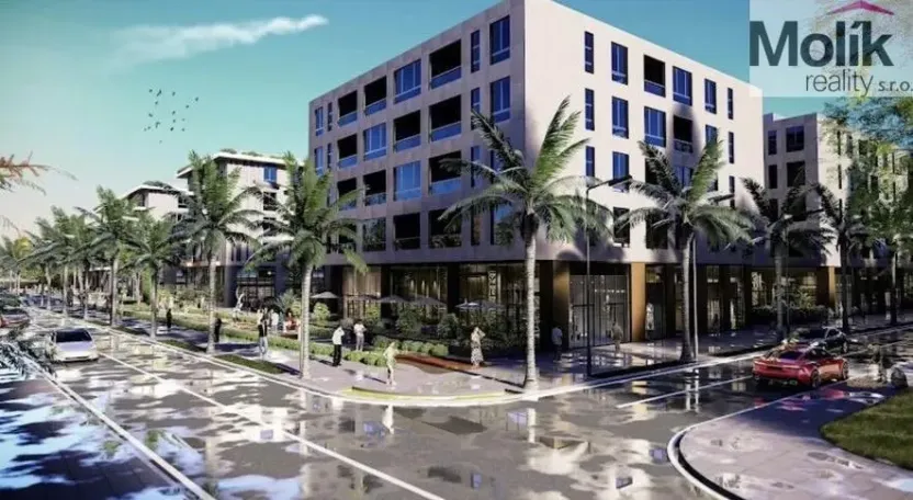 Prodej bytu 3+kk, Golem, 252 m2