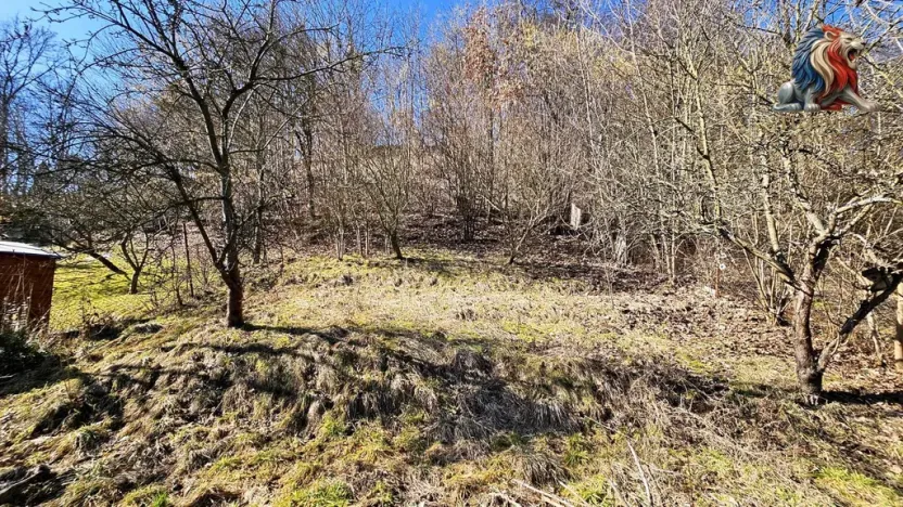 Prodej chaty, Moravská Třebová - Předměstí, 26 m2