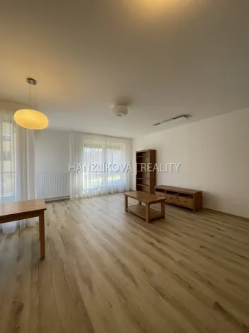 Pronájem bytu 2+kk, České Budějovice, Hálkova, 54 m2
