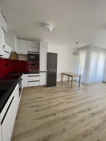 Pronájem bytu 2+kk, České Budějovice, Hálkova, 54 m2