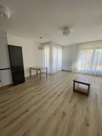 Pronájem bytu 2+kk, České Budějovice, Hálkova, 54 m2