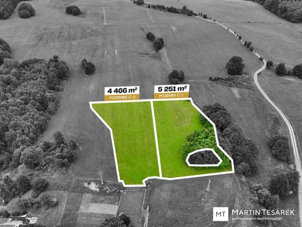 Prodej pozemku pro bydlení, Pulečný, 9697 m2