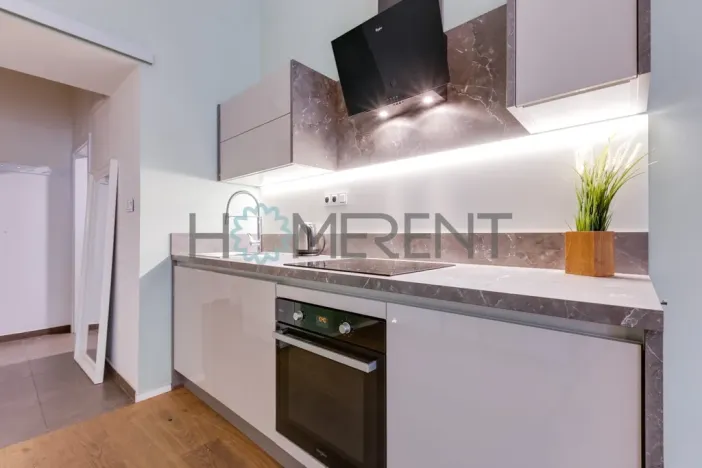 Pronájem bytu 2+kk, Praha - Karlín, Peckova, 86 m2