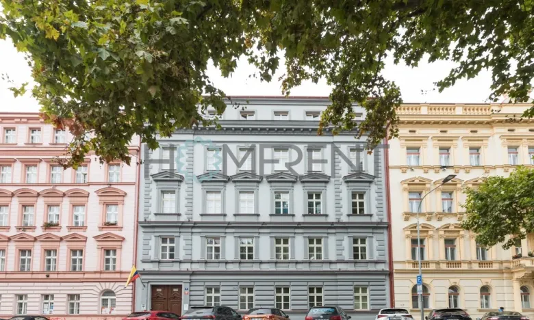 Pronájem bytu 2+kk, Praha - Karlín, Peckova, 86 m2