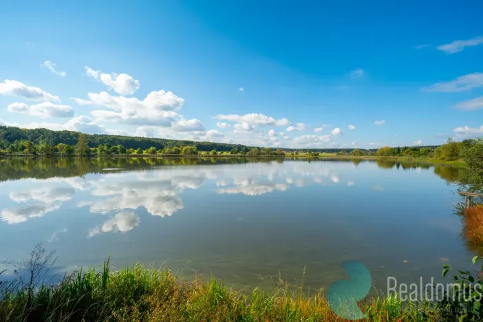 Prodej pozemku pro bydlení, Litvínovice - Šindlovy Dvory, 1004 m2
