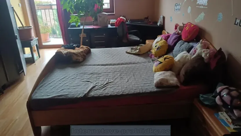 Pronájem pokoje, Praha - Radotín, Sobětická, 18 m2