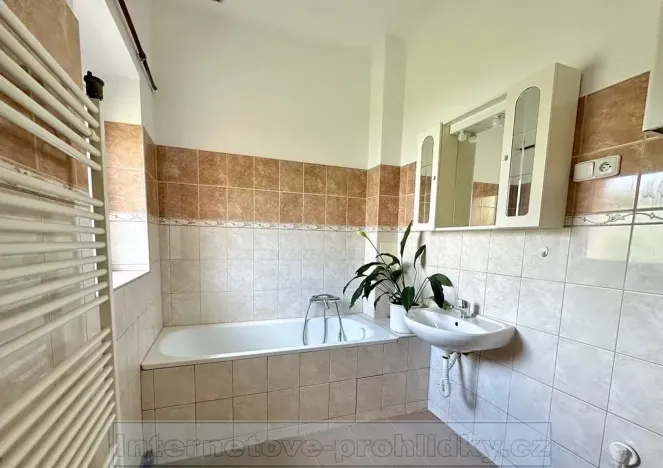 Pronájem bytu 1+1, Praha - Žižkov, Luční, 69 m2