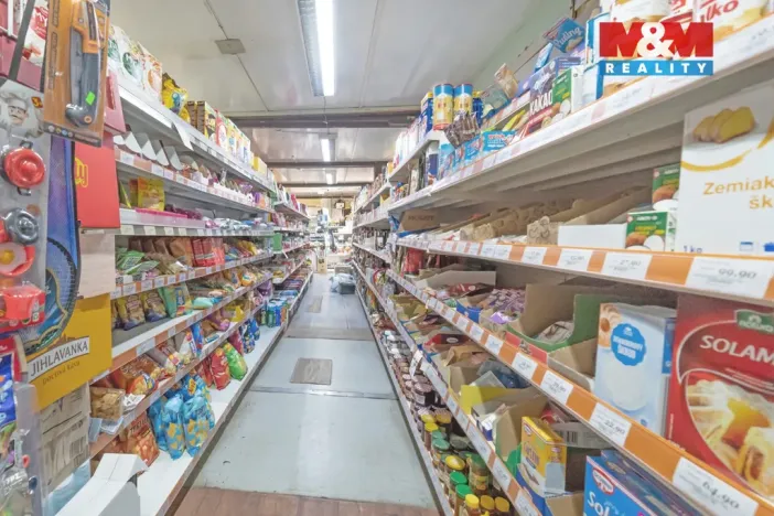 Prodej obchodního prostoru, Šitbořice, Dlouhá, 143 m2