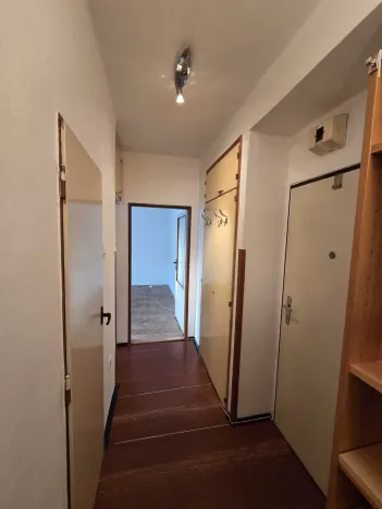 Prodej bytu 1+1, Praha - Vršovice, U Slavie, 44 m2