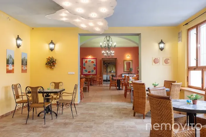 Prodej restaurace, Týnec nad Sázavou, 479 m2