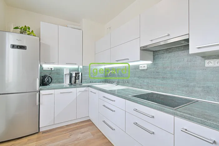 Pronájem bytu 2+kk, Brno - Horní Heršpice, Bednářova, 65 m2