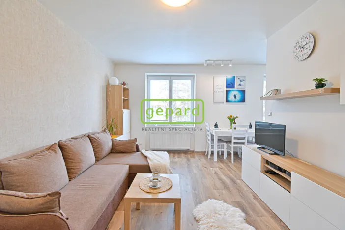 Pronájem bytu 2+kk, Brno - Horní Heršpice, Bednářova, 65 m2