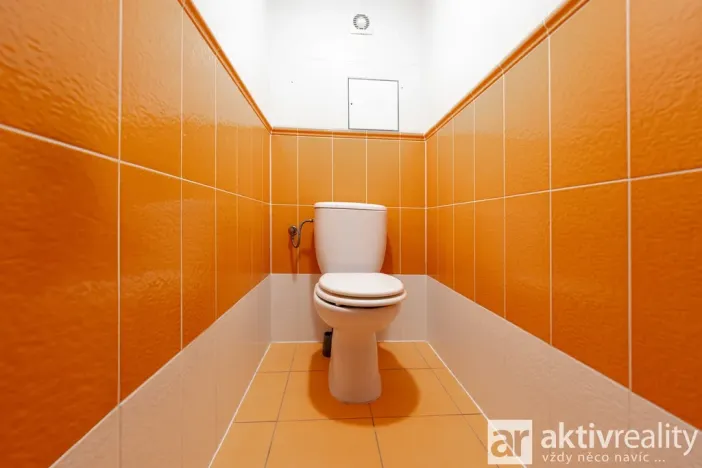 Prodej bytu 2+kk, Šestajovice, Komenského, 63 m2