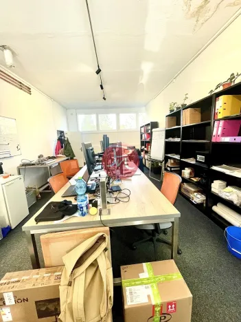 Pronájem obchodního prostoru, Ostrava, V Závětří, 250 m2