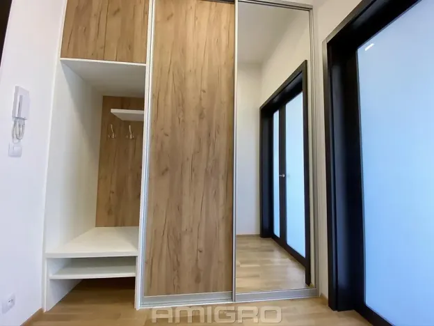 Pronájem bytu 1+kk, Brno, Šumavská, 43 m2