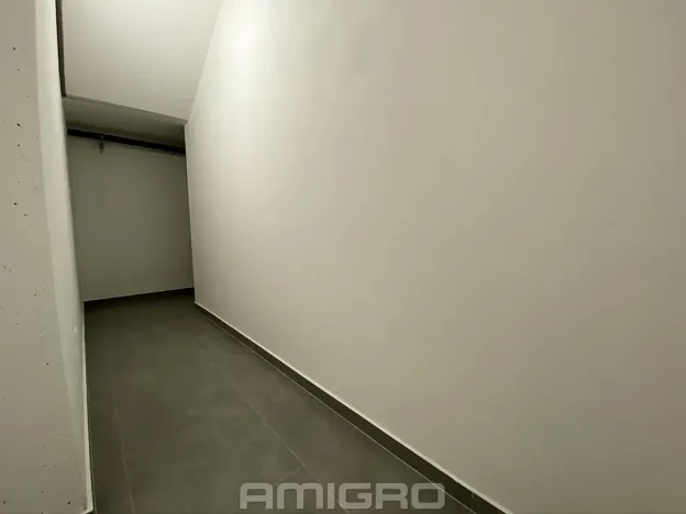 Pronájem bytu 1+kk, Brno, Šumavská, 43 m2