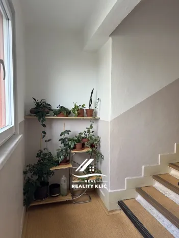 Pronájem bytu 2+1, Ostrava, Plavecká, 53 m2