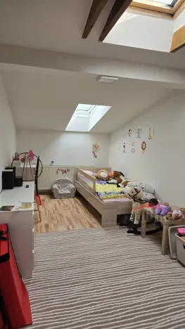 Prodej bytu 3+kk, Opava - Předměstí, Nákladní, 98 m2