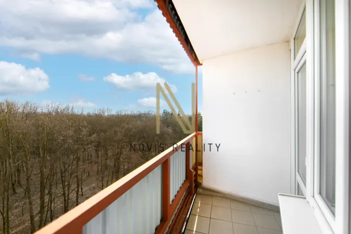 Pronájem bytu 1+1, Plzeň, Heyrovského, 36 m2