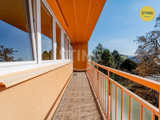 Prodej bytu 1+1, Opava, Holasická, 35 m2