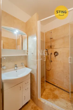 Prodej bytu 1+1, Opava, Holasická, 35 m2