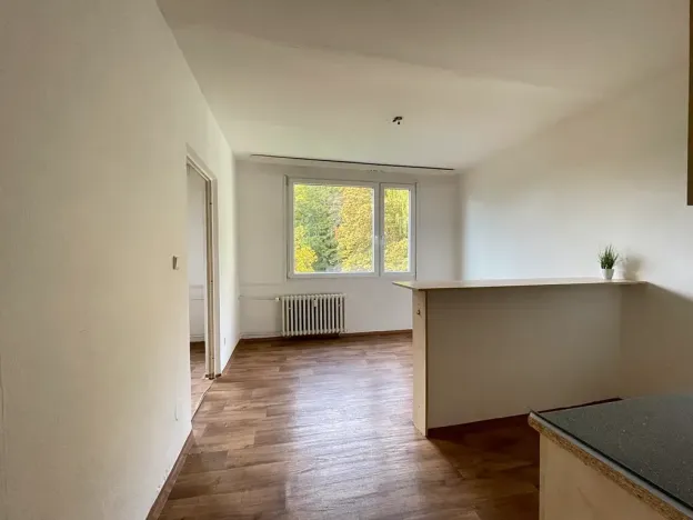 Pronájem bytu 1+1, Litvínov, Tylova, 38 m2