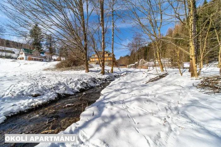 Prodej bytu 1+kk, Žacléř - Prkenný Důl, 44 m2