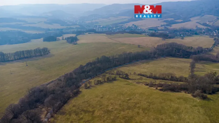 Prodej lesa, Dolní Habartice, 10293 m2