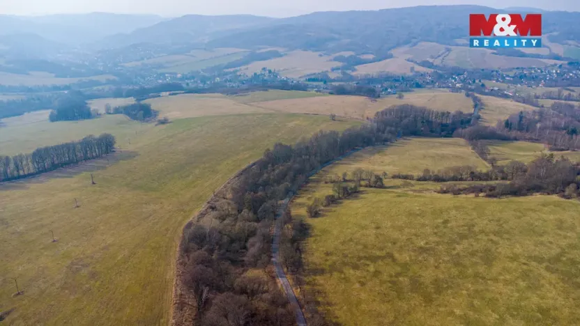 Prodej lesa, Dolní Habartice, 10293 m2