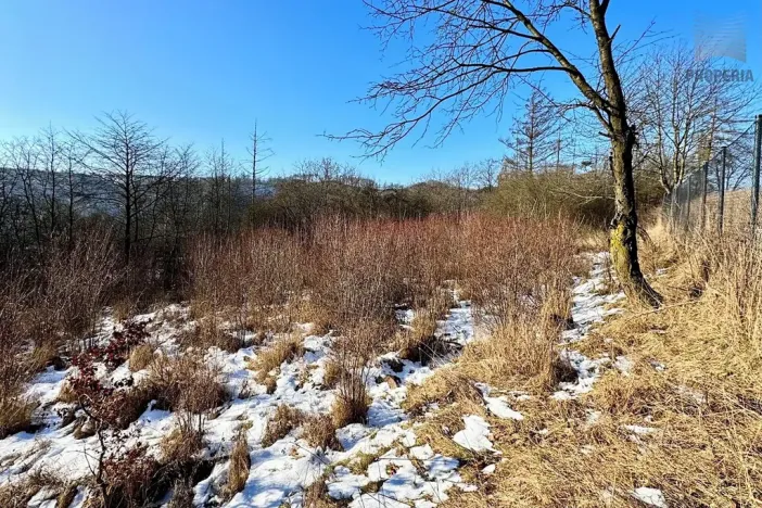 Prodej pozemku pro bydlení, Letovice, 1845 m2