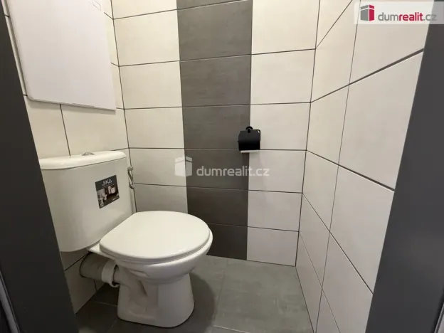 Pronájem bytu 2+1, Ostrov, Kollárova, 58 m2