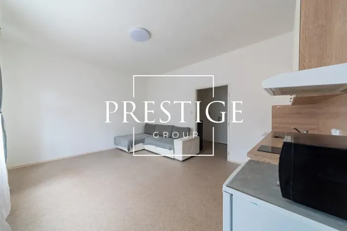 Pronájem bytu 1+kk, Praha - Žižkov, Biskupcova, 31 m2