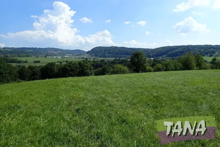 Prodej louky, Hodkovice nad Mohelkou, 49051 m2