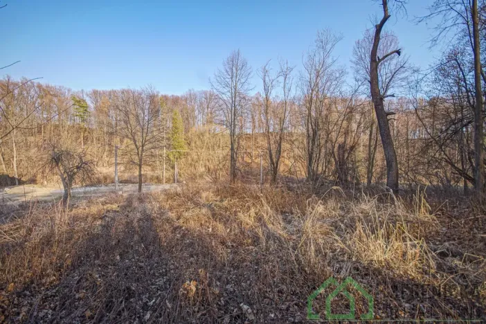 Prodej pozemku pro bydlení, Bernartice - Buková, 15640 m2