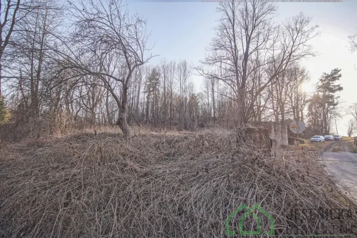 Prodej pozemku pro bydlení, Bernartice - Buková, 15640 m2