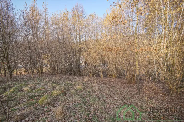 Prodej pozemku pro bydlení, Bernartice - Buková, 15640 m2