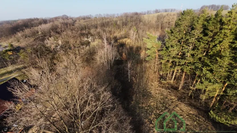 Prodej pozemku pro bydlení, Bernartice - Buková, 15640 m2