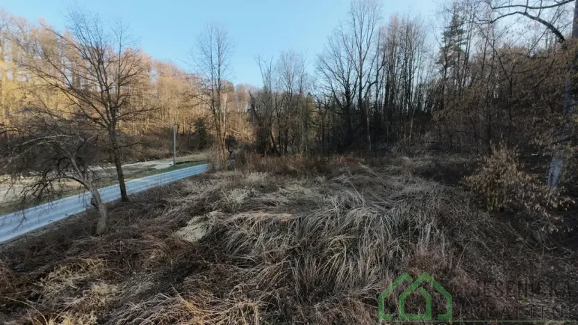 Prodej pozemku pro bydlení, Bernartice - Buková, 15640 m2