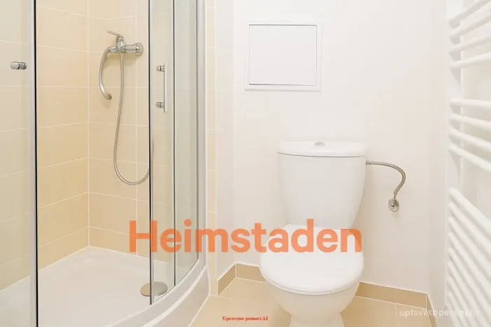 Pronájem bytu 1+1, Ostrava - Poruba, Dělnická, 29 m2