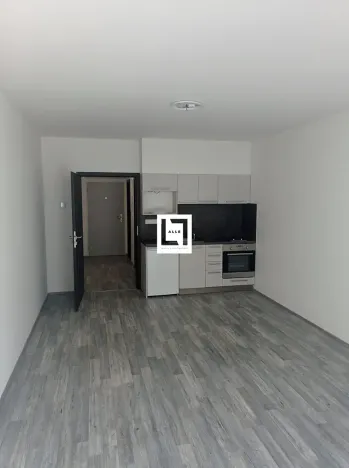 Pronájem bytu 1+kk, Olomouc, Wellnerova, 35 m2