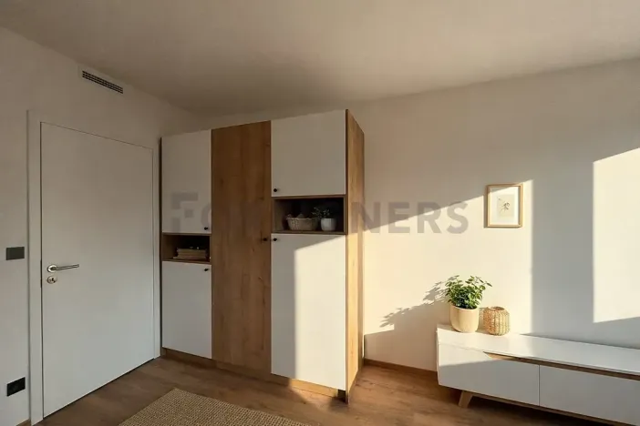 Pronájem bytu 1+kk, Brno, Fryčajova, 30 m2