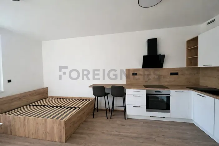 Pronájem bytu 1+kk, Brno, Fryčajova, 30 m2