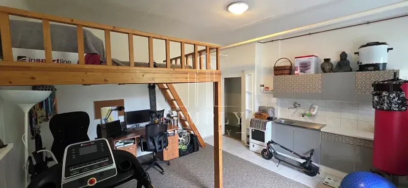 Prodej vícegeneračního domu, Praha - Hostivař, Herbenova, 360 m2