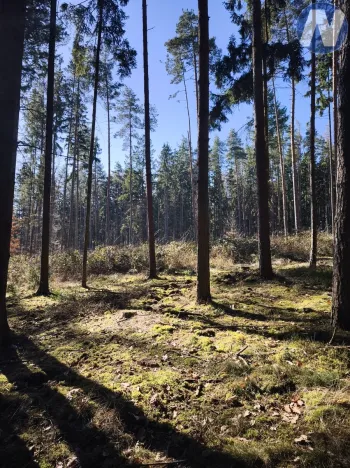 Prodej rodinného domu, Starý Plzenec, 80 m2