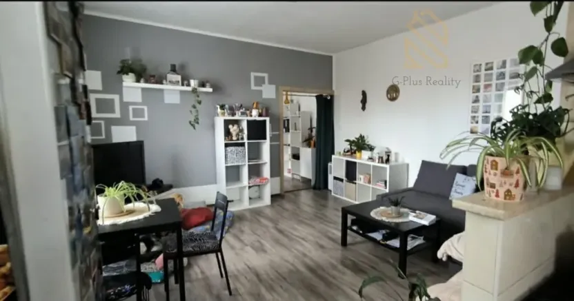 Pronájem bytu 2+kk, Louny, Dukelská, 42 m2
